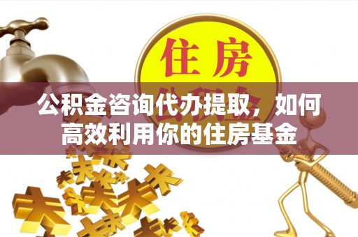 肇源公积金咨询代办提取，如何高效利用你的住房基金