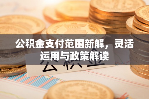 肇源公积金支付范围新解，灵活运用与政策解读