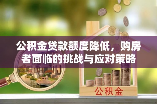 肇源公积金贷款额度降低，购房者面临的挑战与应对策略