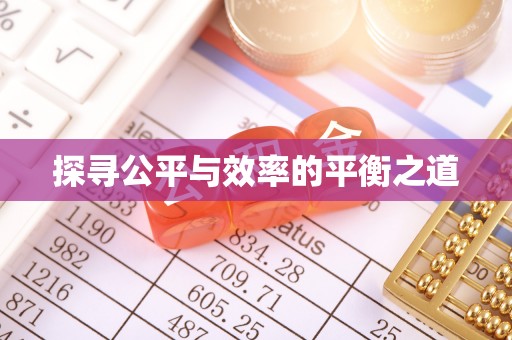 肇源探寻公平与效率的平衡之道