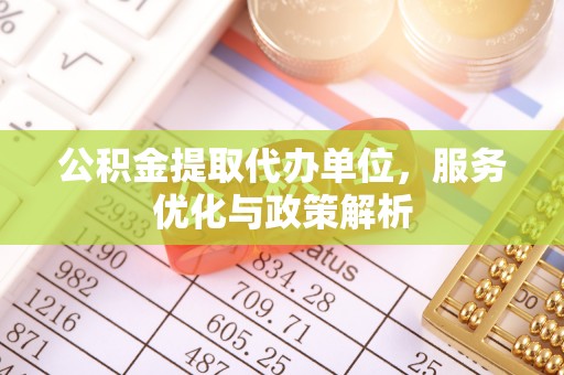 肇源公积金提取代办单位，服务优化与政策解析