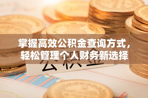 肇源掌握高效公积金查询方式，轻松管理个人财务新选择