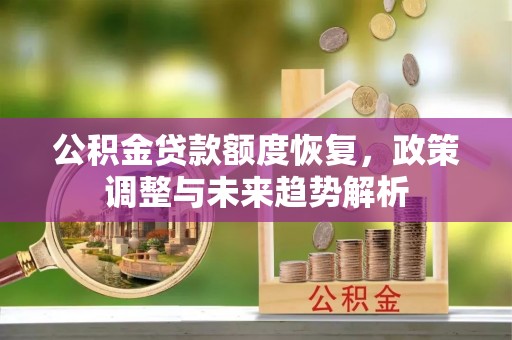 肇源公积金贷款额度恢复，政策调整与未来趋势解析