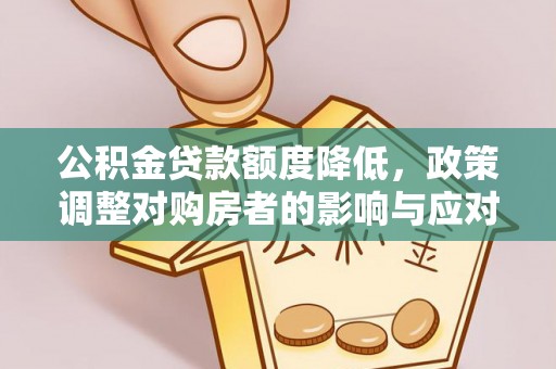 肇源公积金贷款额度降低，政策调整对购房者的影响与应对策略