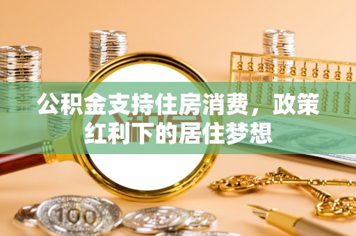 肇源公积金支持住房消费，政策红利下的居住梦想