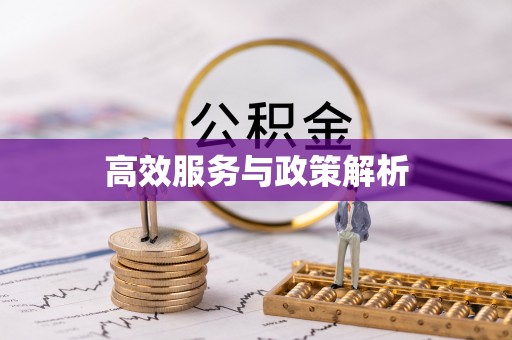 肇源高效服务与政策解析