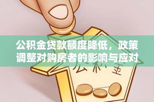肇源公积金贷款额度降低，政策调整对购房者的影响与应对策略