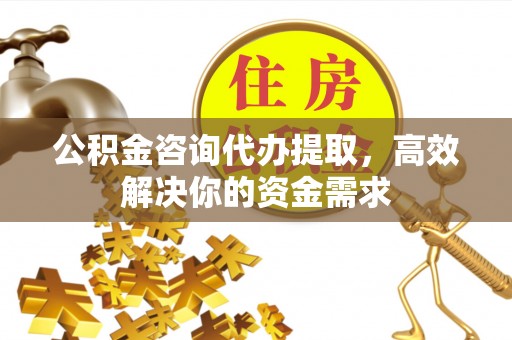肇源公积金咨询代办提取，高效解决你的资金需求