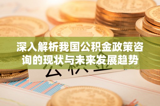 肇源深入解析我国公积金政策咨询的现状与未来发展趋势